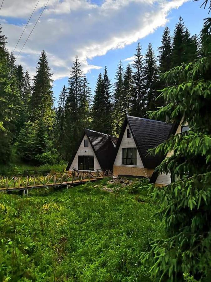 Alpiyske Shale Villa Yablunytsia Dış mekan fotoğraf