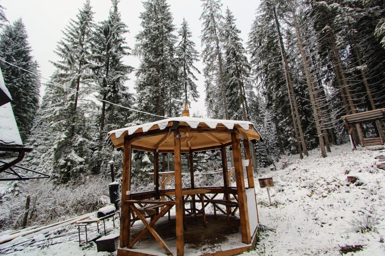 Alpiyske Shale Villa Yablunytsia Dış mekan fotoğraf