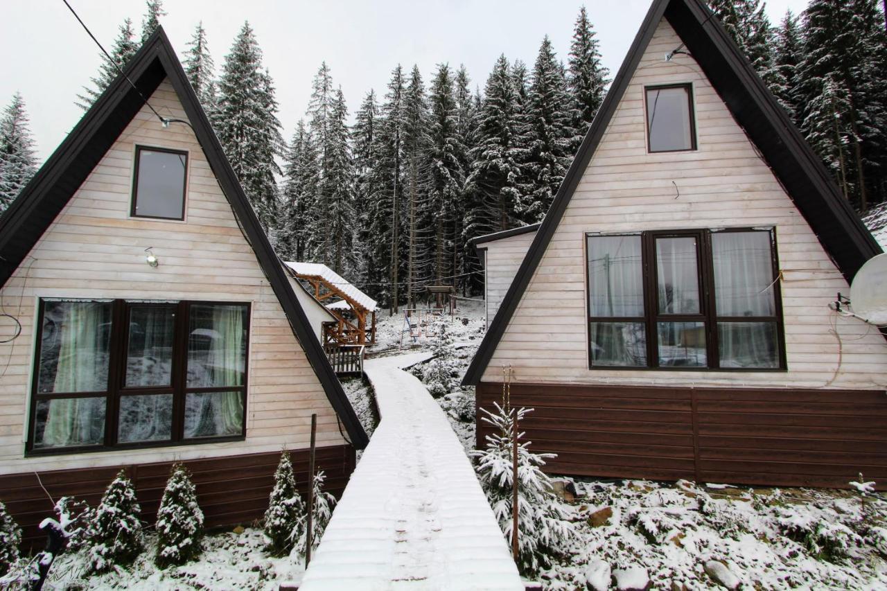 Alpiyske Shale Villa Yablunytsia Dış mekan fotoğraf