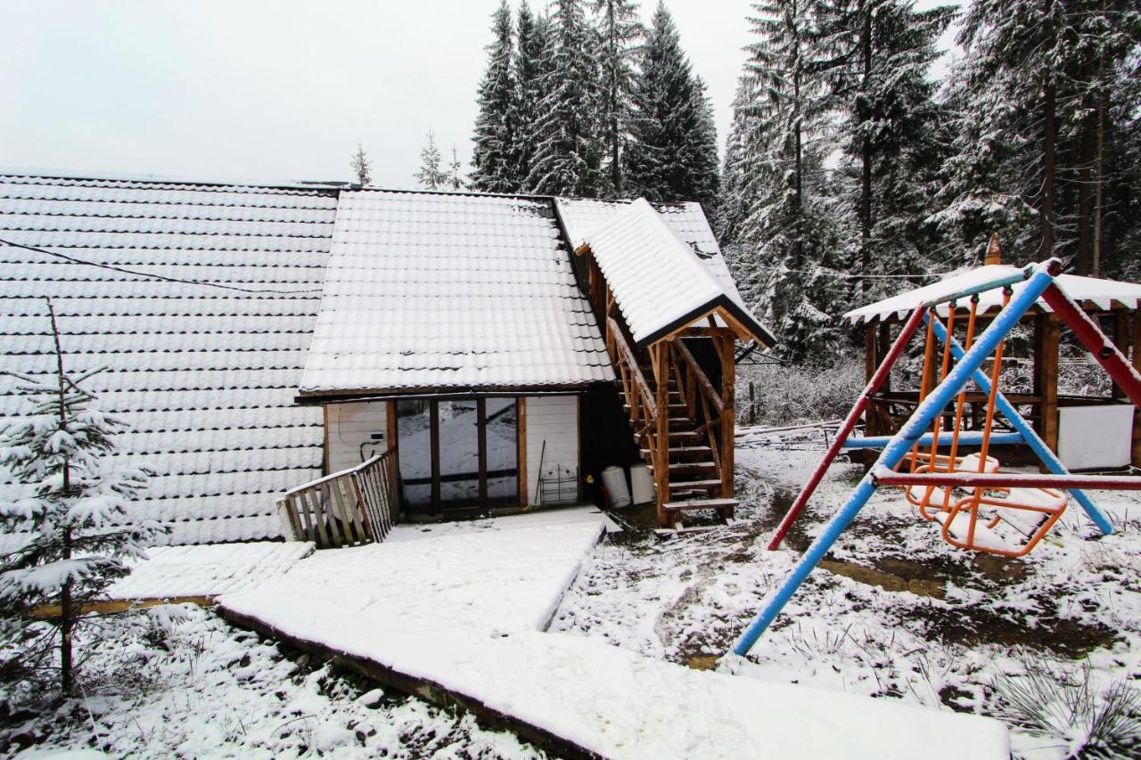 Alpiyske Shale Villa Yablunytsia Dış mekan fotoğraf