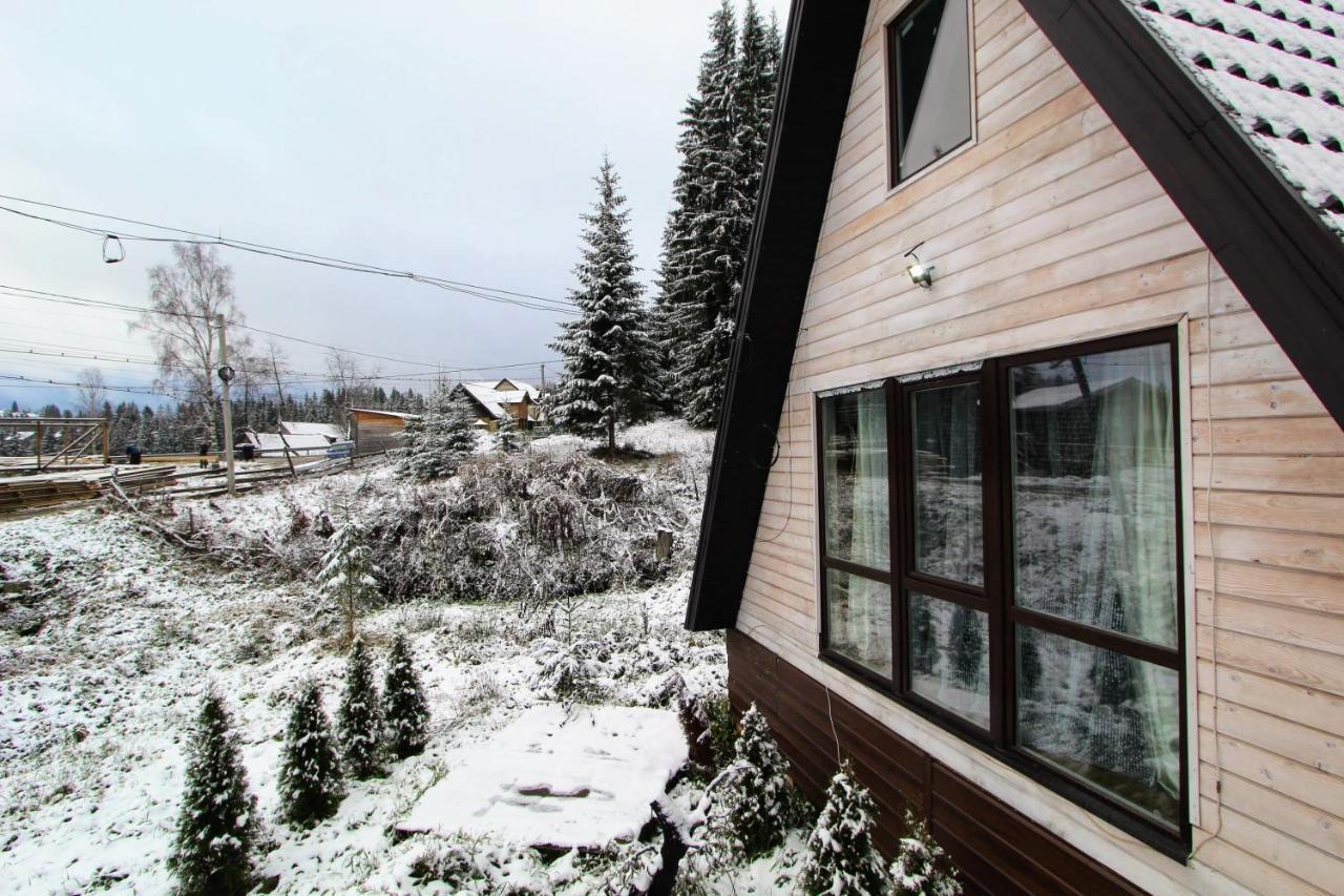 Alpiyske Shale Villa Yablunytsia Dış mekan fotoğraf