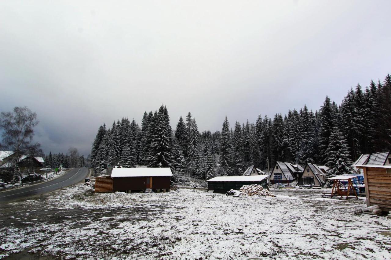 Alpiyske Shale Villa Yablunytsia Dış mekan fotoğraf